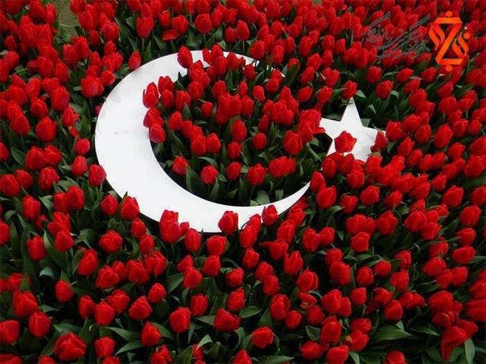 انواع گل در ترکی استانبولی
